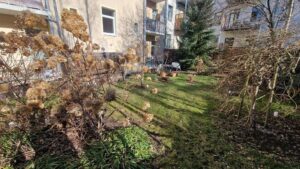 Grünfläche hinter dem Haus