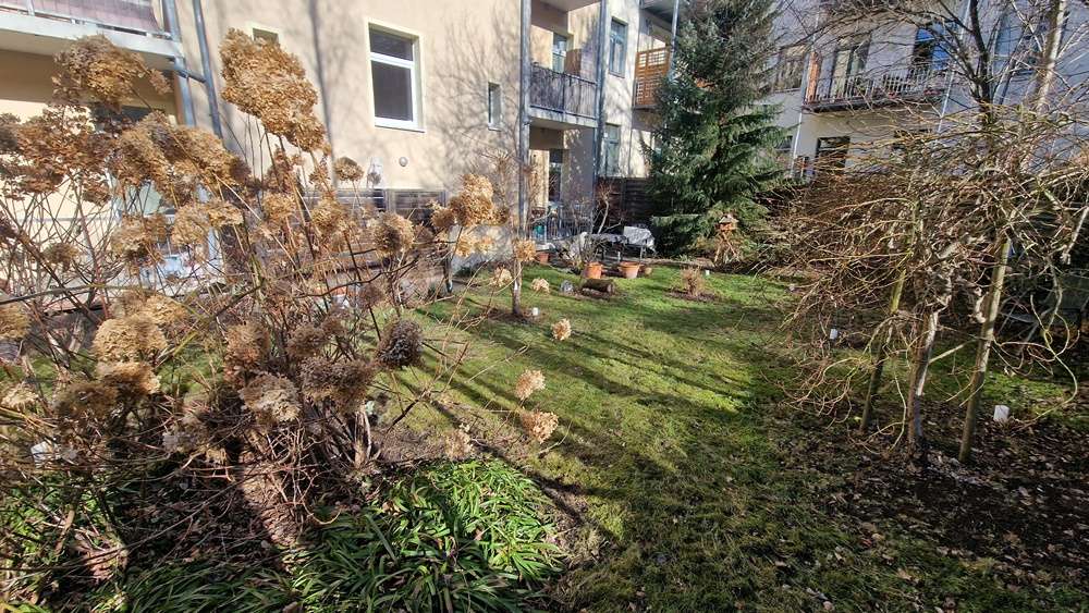 Grünfläche hinter dem Haus