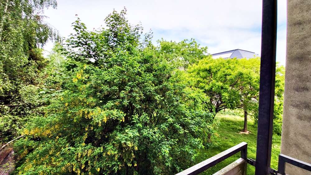 Aussicht ins Grüne