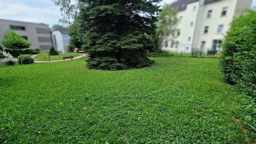 Grünfläche hinten